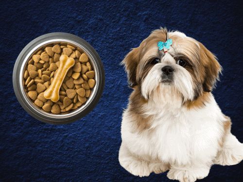 Dog Food For Allergies